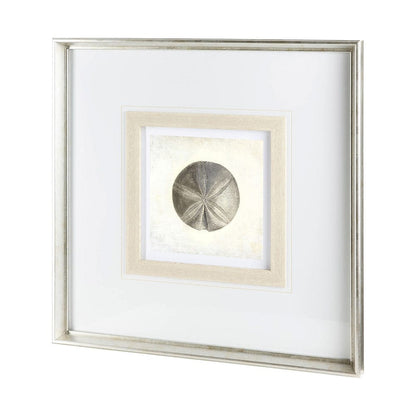 Mercana - Vintage Sand Dollar by Mercana Studio a Framed Art Print Matted under Glass - 12042 view 1