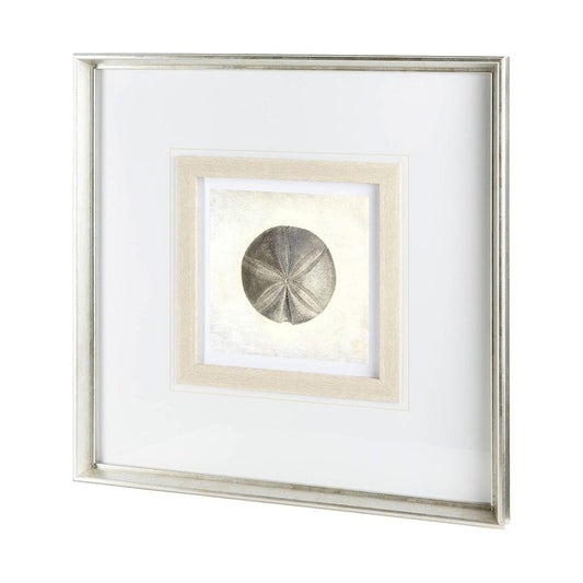 Mercana - Vintage Sand Dollar by Mercana Studio a Framed Art Print Matted under Glass - 12042 view 1