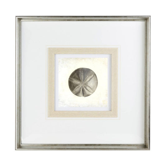 Mercana - Vintage Sand Dollar by Mercana Studio a Framed Art Print Matted under Glass - 12042 view 2