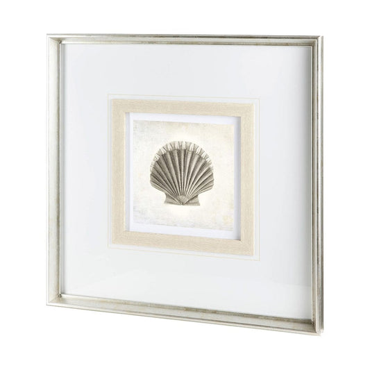 Mercana - Vintage Scallop Shell by Mercana Studio a Framed Art Print Matted under Glass - 12041 view 1