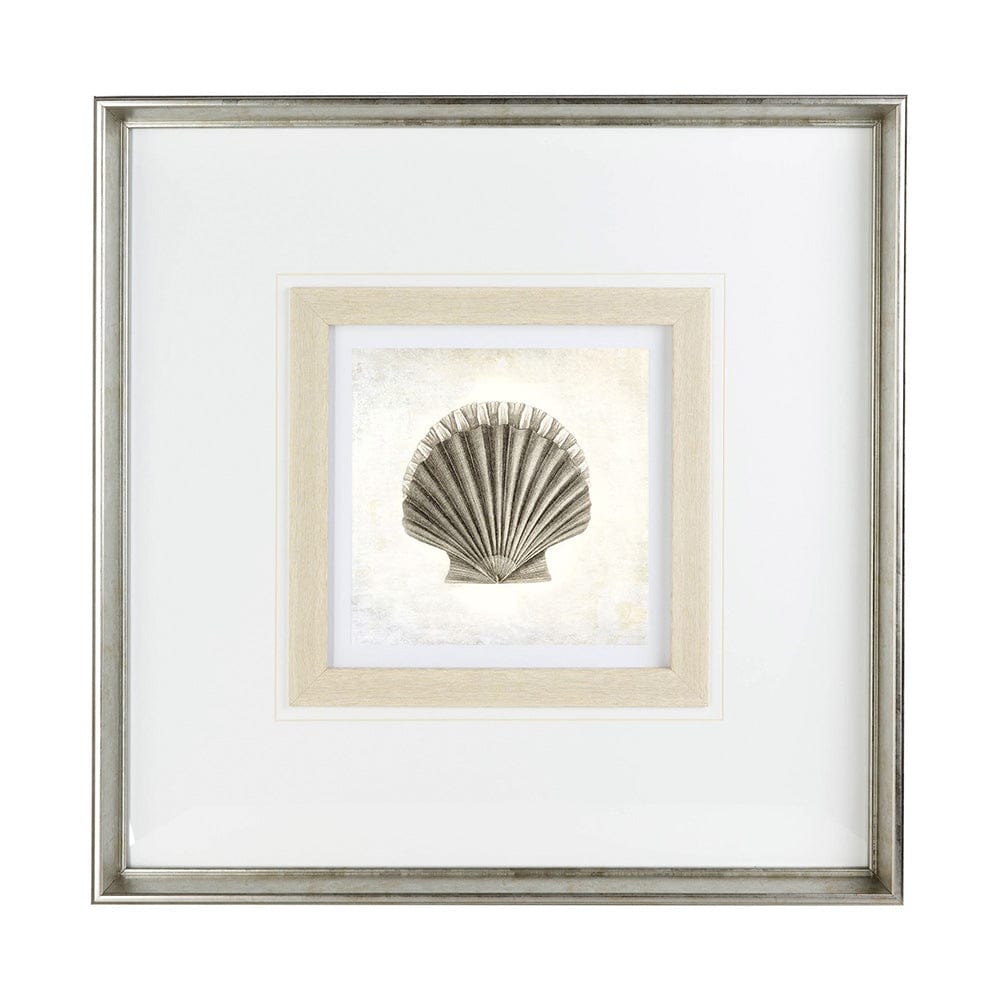 Mercana - Vintage Scallop Shell by Mercana Studio a Framed Art Print Matted under Glass - 12041 view 2