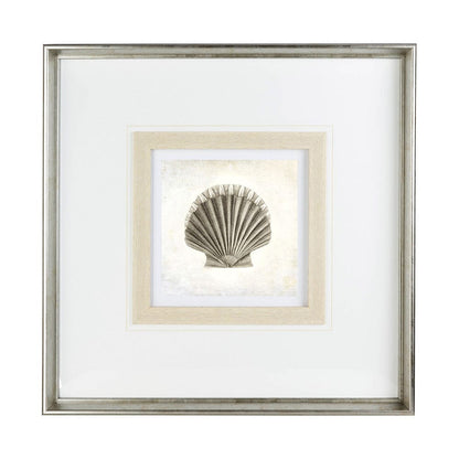 Mercana - Vintage Scallop Shell by Mercana Studio a Framed Art Print Matted under Glass - 12041 view 2