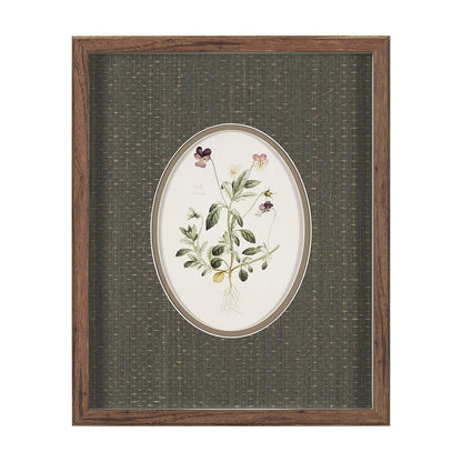 Mercana - Viola Arvensis Flowers by Pierre Joseph Redoute a Hand Embellished Framed Print under Glass - 15808 view 1