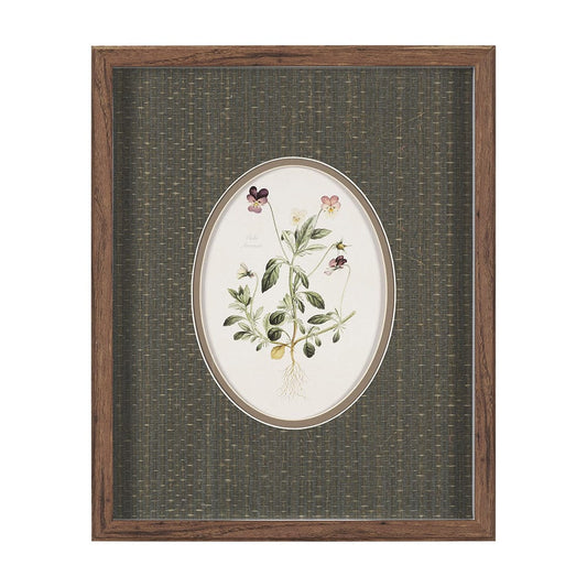 Mercana - Viola Arvensis Flowers by Pierre Joseph Redoute a Hand Embellished Framed Print under Glass - 15808 view 1