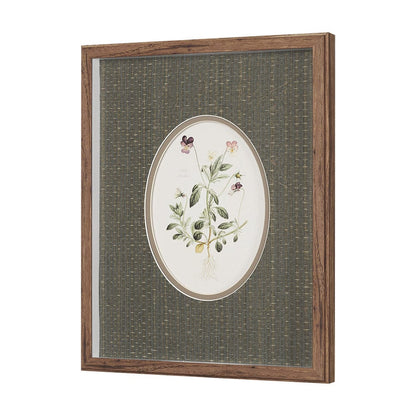 Mercana - Viola Arvensis Flowers by Pierre Joseph Redoute a Hand Embellished Framed Print under Glass - 15808 view 2
