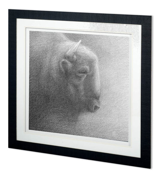 Mercana - Wake Up in the Night II by Simone a Framed Art Print Matted under Glass - 11694 view 1