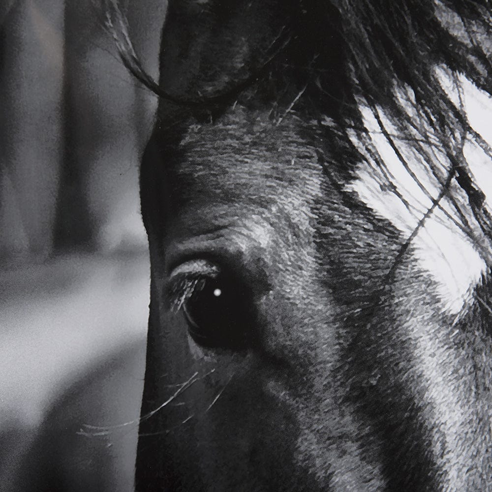 Mercana - Watched Presence by Mercana Studio a Hand Embellished Textured Framed Art Print Matted under Glass - 14634 view 7