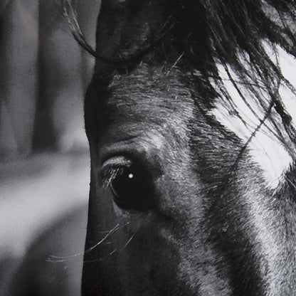 Mercana - Watched Presence by Mercana Studio a Hand Embellished Textured Framed Art Print Matted under Glass - 14634 view 7