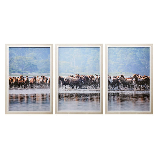 Mercana - Water Horses II C by PHBurchett a Framed Art Print Matted under Glass - 12773 view 1