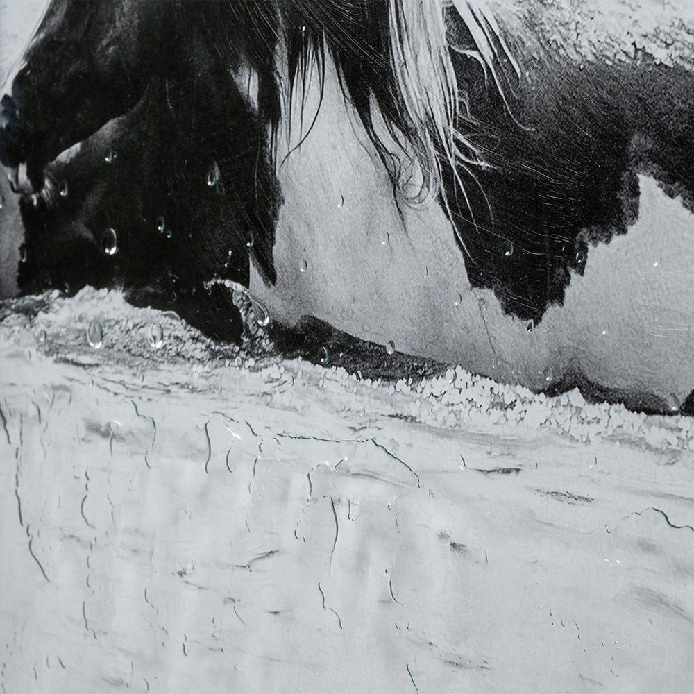 Mercana - Water Horses III 1 by PH Burchett a Hand Embellished Textured Framed Art Print Matted under Glass - 12833 view 7