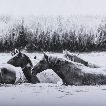 Mercana - Water Horses III by PHBurchett a Framed Art Print Matted under Glass - 12680 view 7