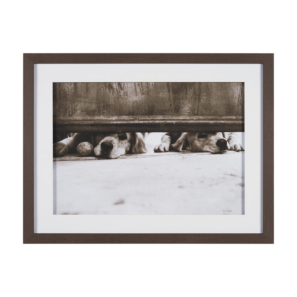 Mercana - We See You Dogs by Jim Dratfield Framed Photo Print under Glass - 15818 view 1