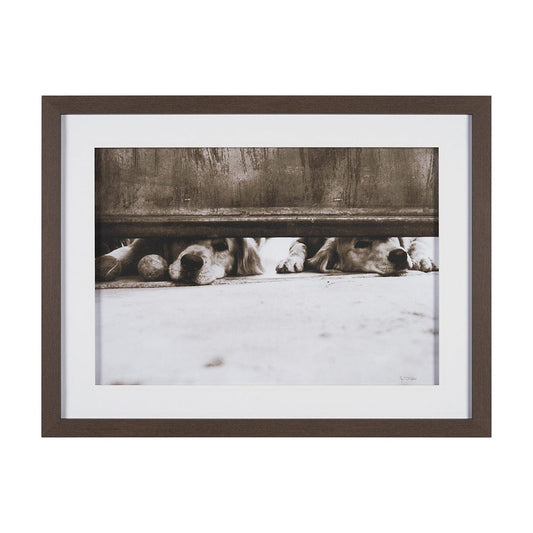 Mercana - We See You Dogs by Jim Dratfield Framed Photo Print under Glass - 15818 view 1