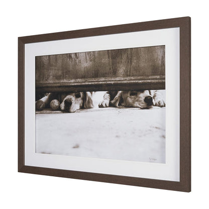 Mercana - We See You Dogs by Jim Dratfield Framed Photo Print under Glass - 15818 view 2