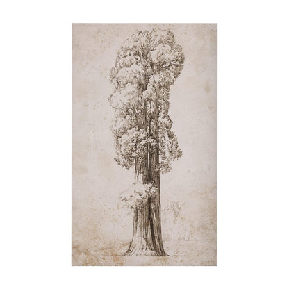 Mercana - Westcoast Tree Drawing I by Mercana Studio a Hand Embellished Textured Canvas - 102505-L view 1