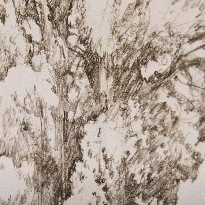 Mercana - Westcoast Tree Drawing I by Mercana Studio a Hand Embellished Textured Canvas - 102505-L view 7