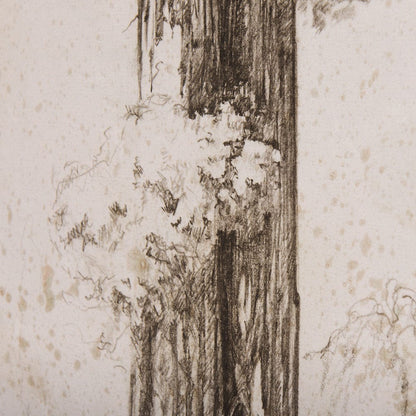 Mercana - Westcoast Tree Drawing I by Mercana Studio a Hand Embellished Textured Canvas - 102505-S view 6