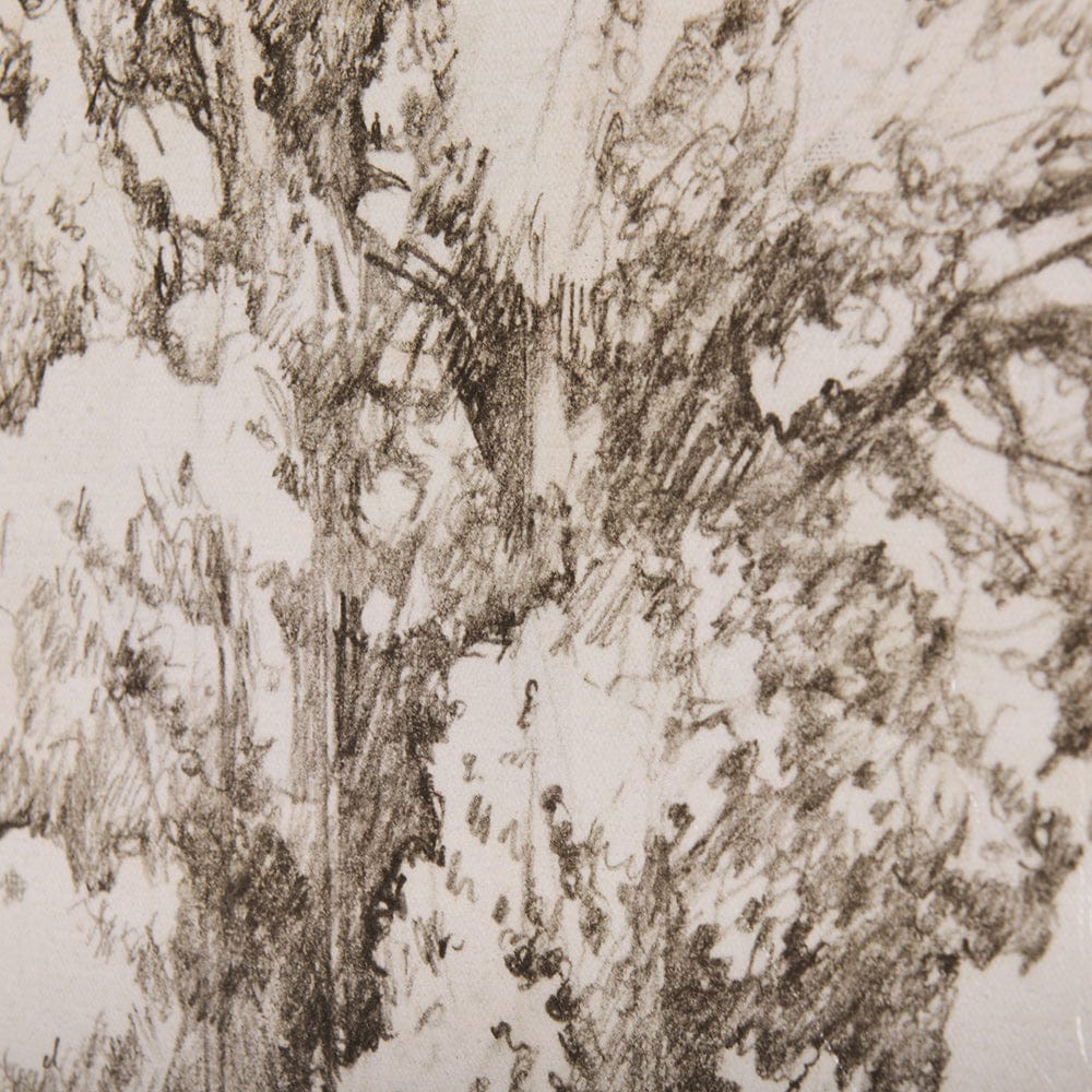 Mercana - Westcoast Tree Drawing I by Mercana Studio a Hand Embellished Textured Canvas - 102505-S view 7