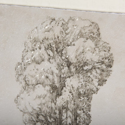 Mercana - Westcoast Tree Drawing I by Mercana Studio Hand Embellished Framed Art Print Matted under Glass - 14715 view 7