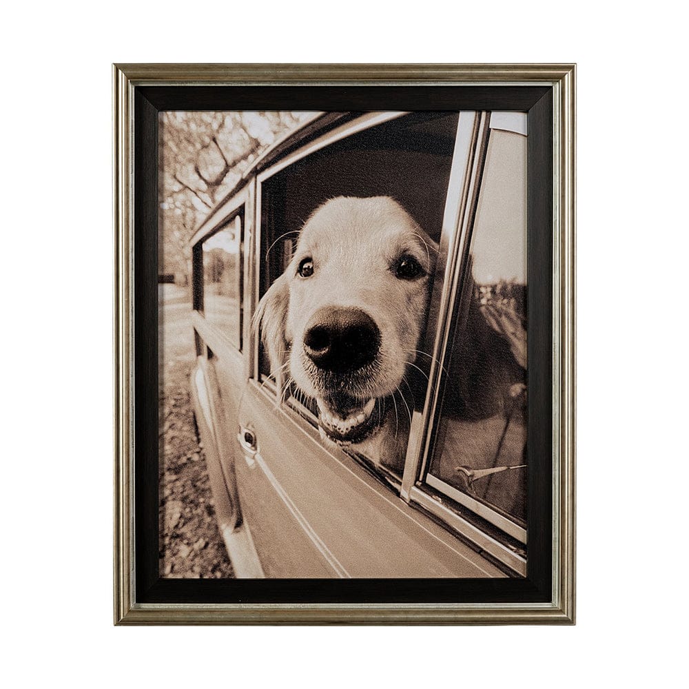 Mercana - Where you go by Jim Drafield a Hand Embelished Textured Framed Art Print - 13522 view 1