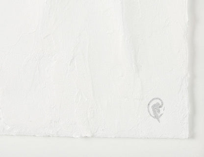 Mercana - White Vines II by Studio M a handmade Original Framed 3D Textured Artwork under Glass (Set of 2) - 14789 view 6