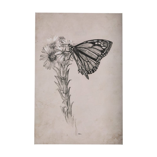 Mercana - Wild Aster With Monarch Butterfly Drawing III by Mercana Studio a Hand Embellished Textured Canvas - 102453-L view 1