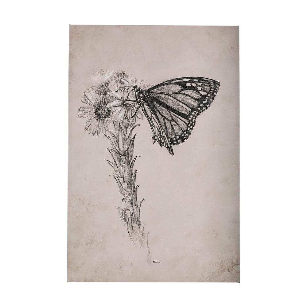 Mercana - Wild Aster With Monarch Butterfly Drawing III by Mercana Studio a Hand Embellished Textured Canvas - 102453-S view 1
