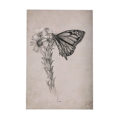Mercana - Wild Aster With Monarch Butterfly Drawing III by Mercana Studio a Hand Embellished Textured Canvas - 102453-S view 1