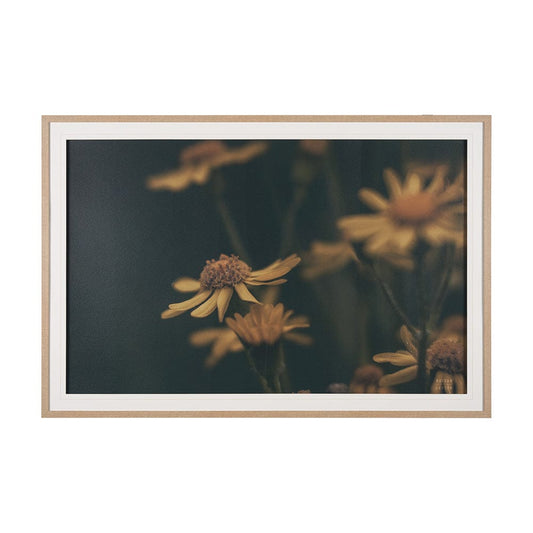 Mercana - Wild Blooms I by Nathan Larson a Hand Embellished Framed Art Print Matted under Glass - 15464 view 1