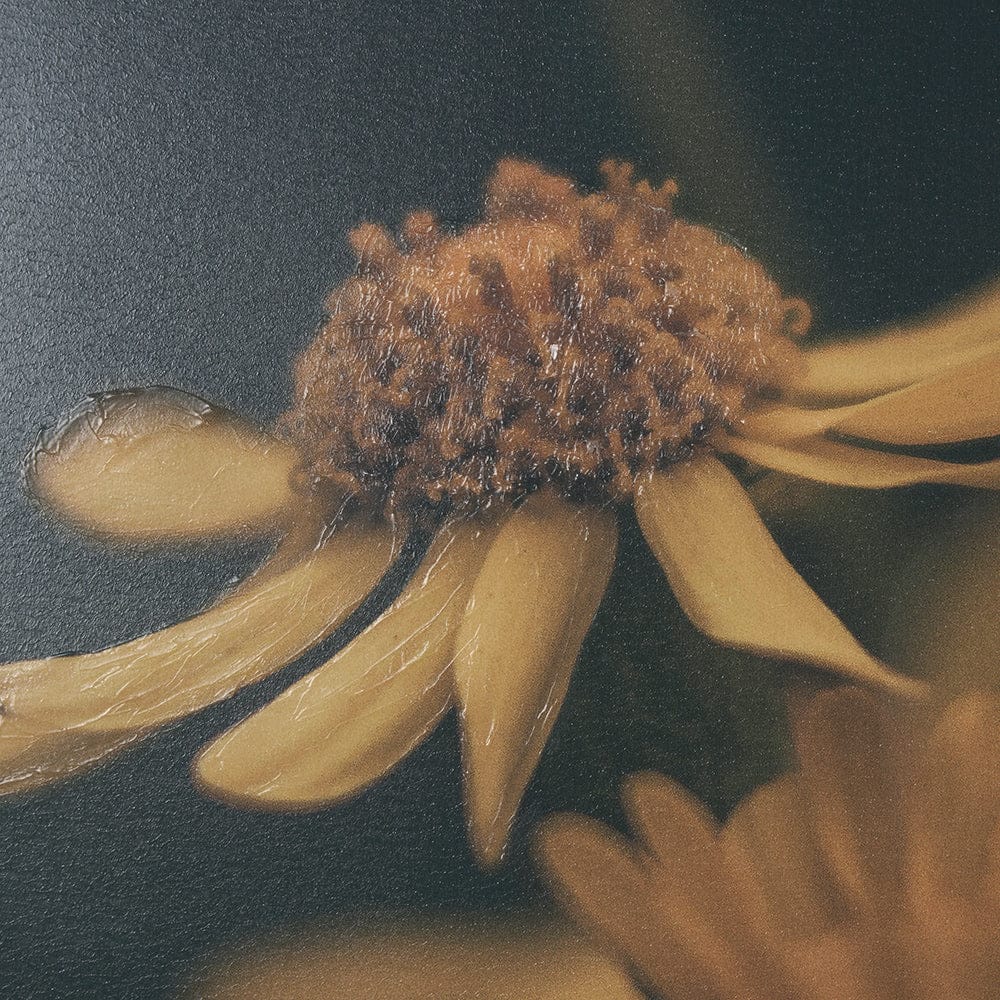 Mercana - Wild Blooms I by Nathan Larson a Hand Embellished Framed Art Print Matted under Glass - 15464 view 6