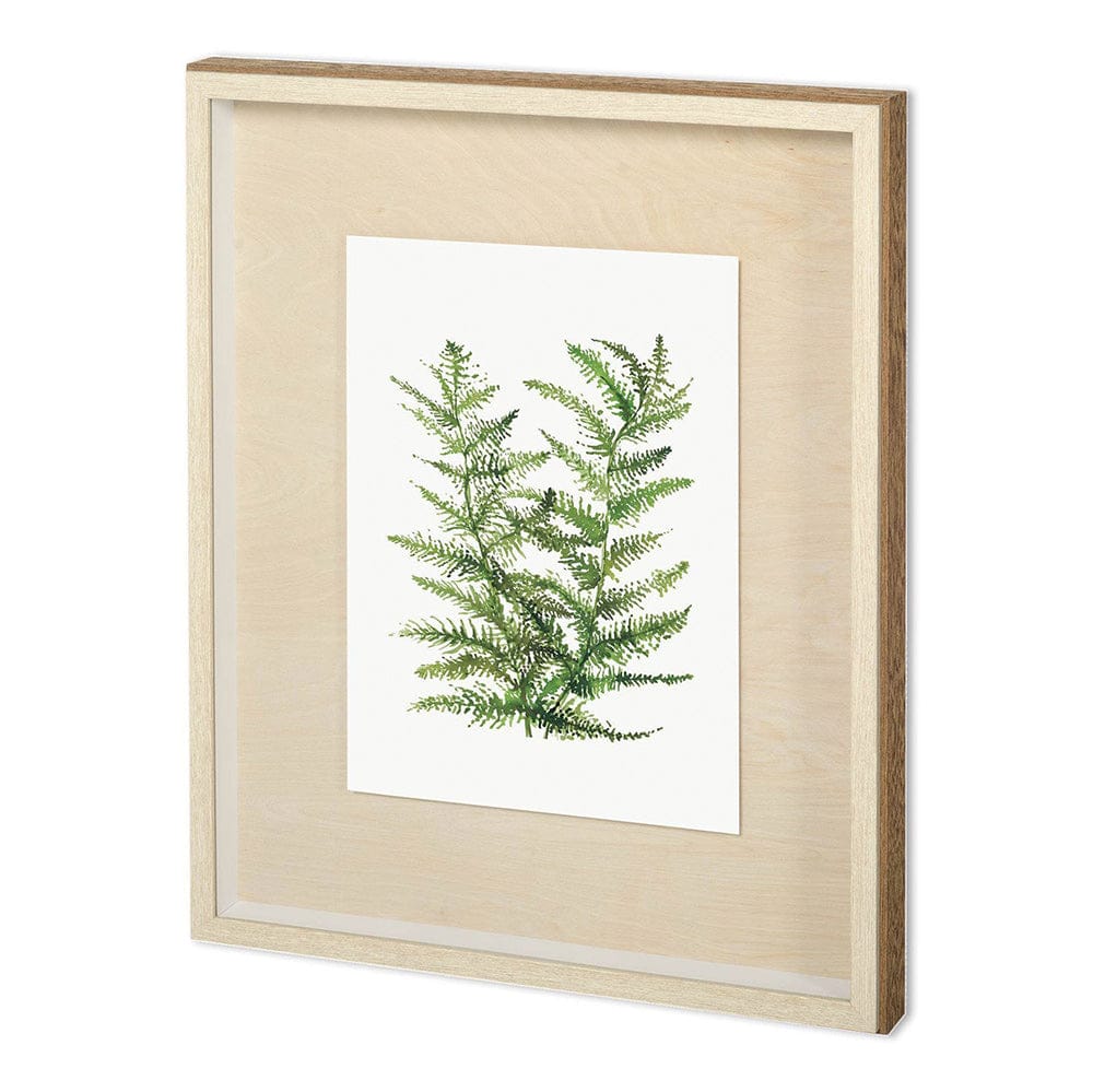 Mercana - WILD GREENS II by MEYERS a Framed Art Print Matted under Glass - 11942 view 1