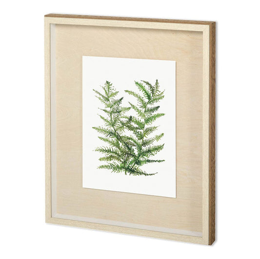 Mercana - WILD GREENS II by MEYERS a Framed Art Print Matted under Glass - 11942 view 1