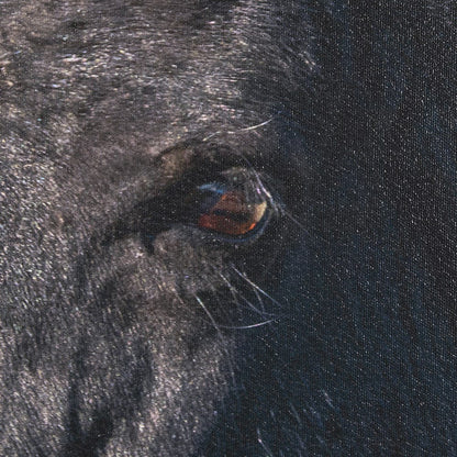 Mercana - Wild Horses by Gary Blatter a Hand Embellished Textured Framed Art Print - 15377 view 7