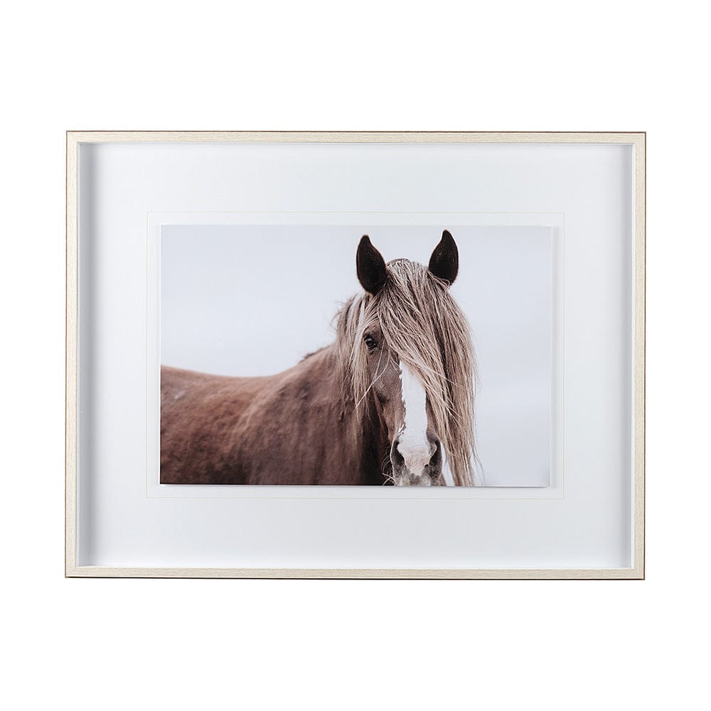 Mercana - Wild Mane by Mercana Studio a Framed Art Print Matted under Glass - 11353 view 1