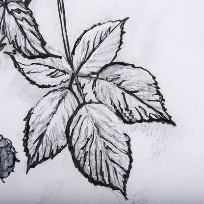 Mercana - WildBerry Collection Blackberry Mercana Studio Hand Embellished Framed Art Print Matted under Glass - 14072 view 8