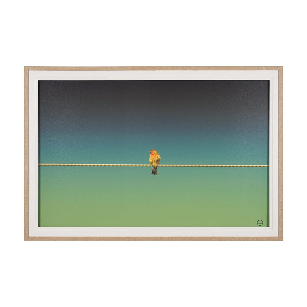 Mercana - Wired Finch by Nathan Larson a Hand Embellished Framed Art Print Matted under Glass - 15469 view 1