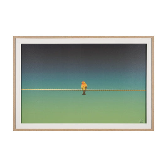 Mercana - Wired Finch by Nathan Larson a Hand Embellished Framed Art Print Matted under Glass - 15469 view 1