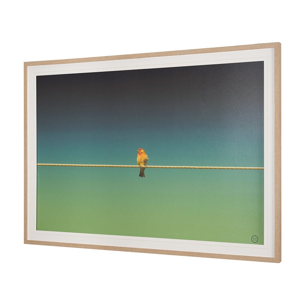 Mercana - Wired Finch by Nathan Larson a Hand Embellished Framed Art Print Matted under Glass - 15469 view 2