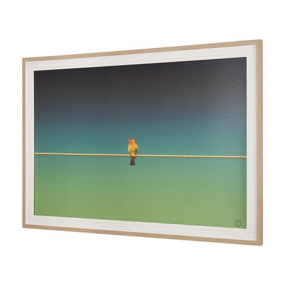 Mercana - Wired Finch by Nathan Larson a Hand Embellished Framed Art Print Matted under Glass - 15469 view 2