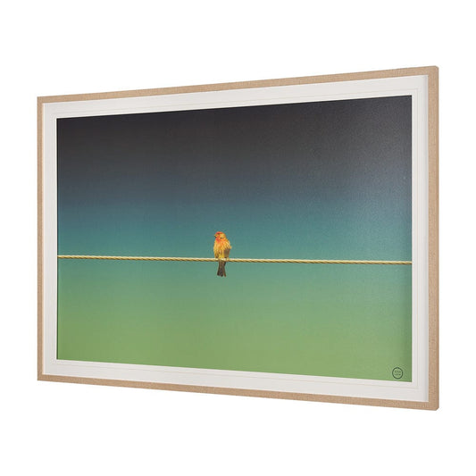 Mercana - Wired Finch by Nathan Larson a Hand Embellished Framed Art Print Matted under Glass - 15469 view 2