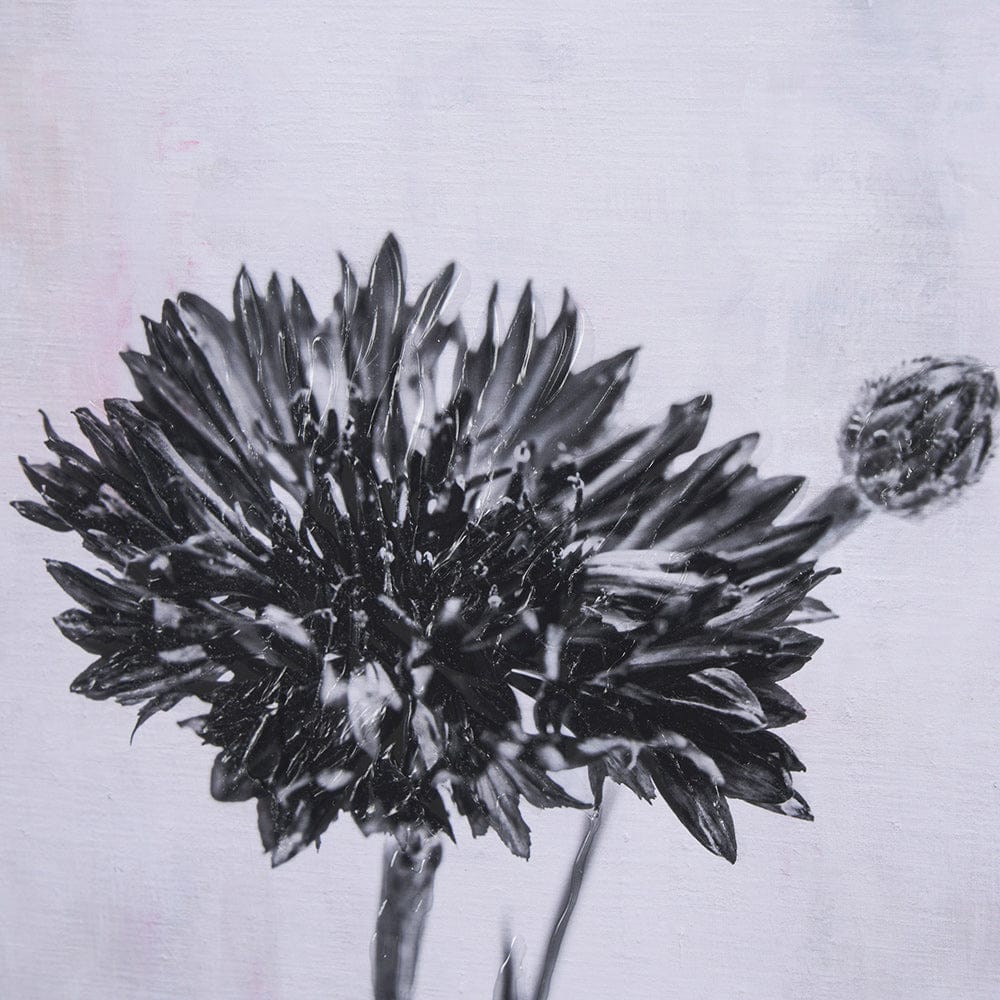 Mercana - Wonderful Wildflowers VIII Neutral by Deborah Revell a Hand Embellished Framed Art Print Matted unde - 15709 view 7