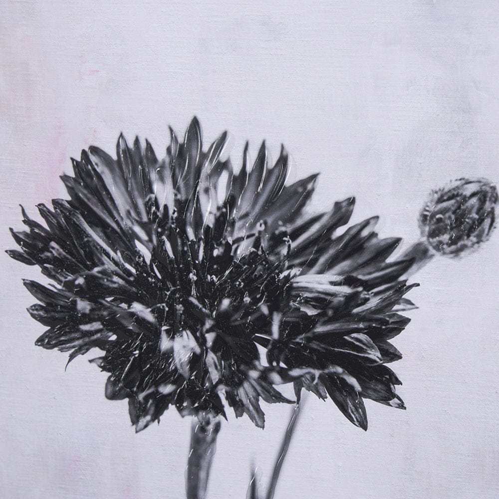 Mercana - Wonderful Wildflowers XIV Neutral by Deborah Revell a Hand Embellished Framed Art Print Matted under - 15710 view 7