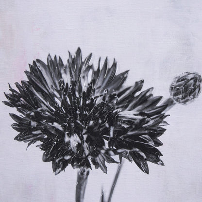 Mercana - Wonderful Wildflowers XV Neutral by Deborah Revell a Hand Embellished Framed Art Print Matted under - 15711 view 7