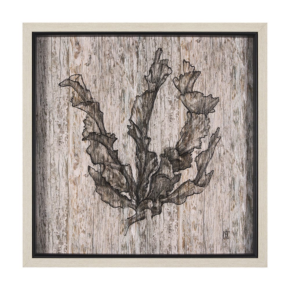 Mercana - Wood Grain Sea Plant I by Mercana Studio a Hand Embellished Textured Framed Art Print - 15205 view 1