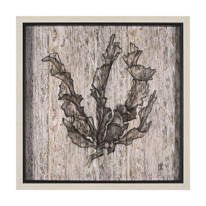 Mercana - Wood Grain Sea Plant I by Mercana Studio a Hand Embellished Textured Framed Art Print - 15205 view 1