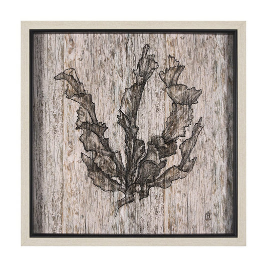 Mercana - Wood Grain Sea Plant I by Mercana Studio a Hand Embellished Textured Framed Art Print - 15205 view 1
