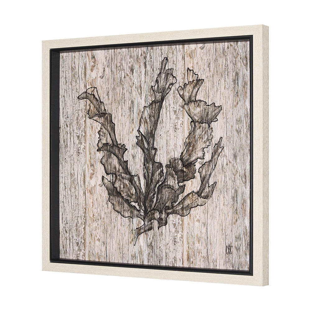 Mercana - Wood Grain Sea Plant I by Mercana Studio a Hand Embellished Textured Framed Art Print - 15205 view 2