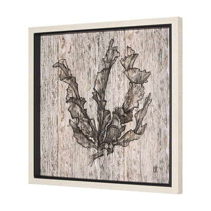 Mercana - Wood Grain Sea Plant I by Mercana Studio a Hand Embellished Textured Framed Art Print - 15205 view 2