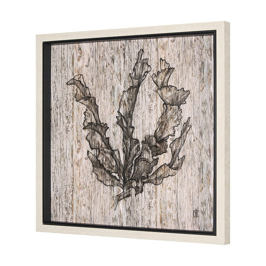Mercana - Wood Grain Sea Plant I by Mercana Studio a Hand Embellished Textured Framed Art Print - 15205 view 2