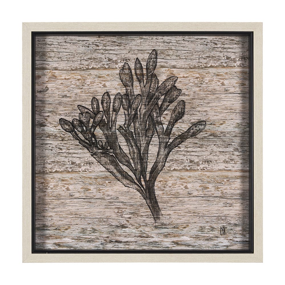 Mercana - Wood Grain Sea Plant II by Mercana Studio a Hand Embellished Textured Framed Art Print - 15206 view 1